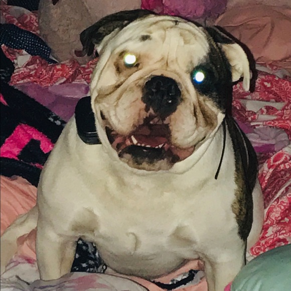 Meet your Posher, Sandra - Picture 6 of 12